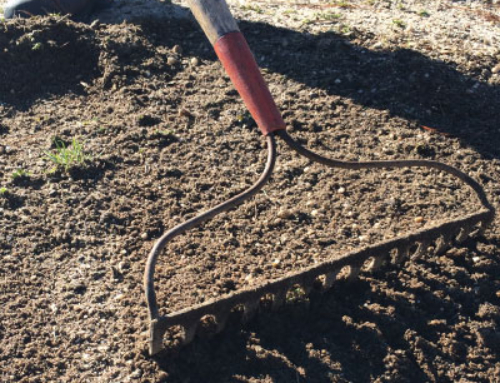 Soil Preparation & Maintenance
