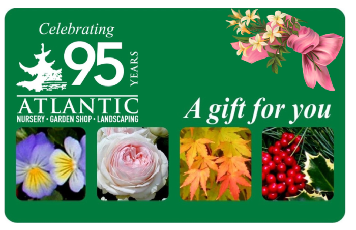 Atlantic Nursery Gift Card