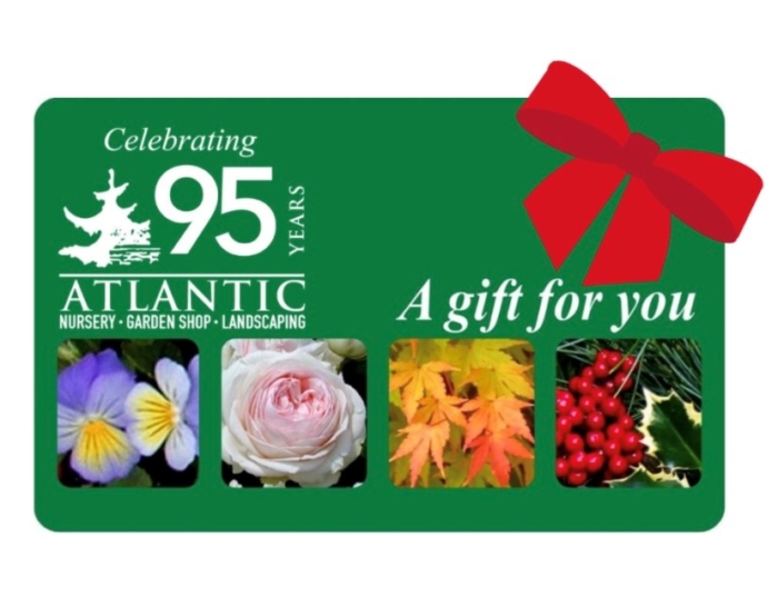 Atlantic Nursery Gift Card