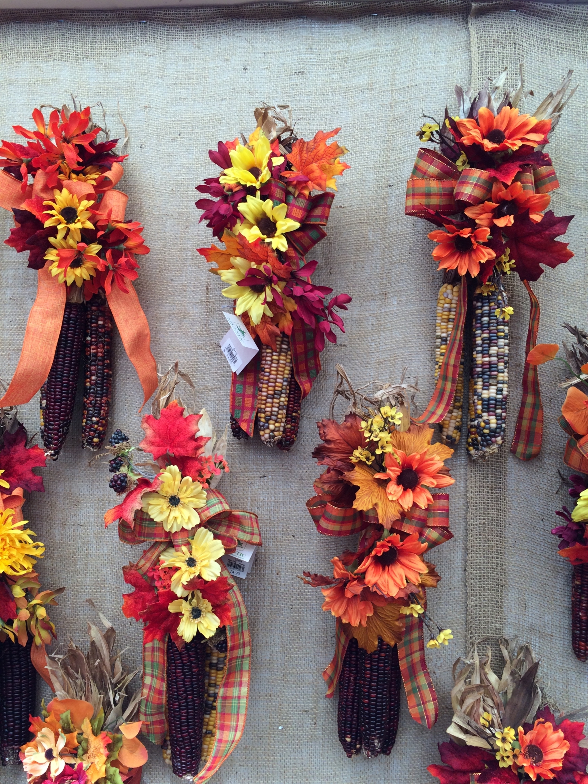 decorated indian corn 2015 – Atlantic Nursery & Garden Shop