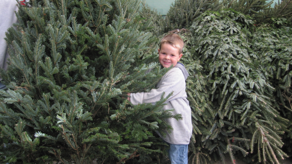 XMAS TREES 007